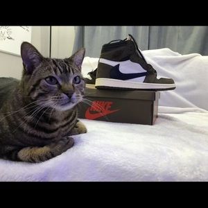 Jordan 1 Retro High Travis Scott